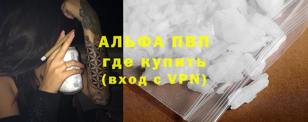 СК Новокубанск