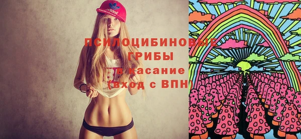 бошки Ветлуга