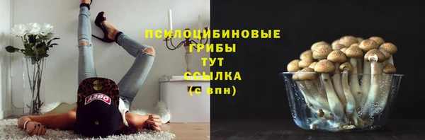 тгк Новодвинск