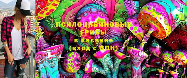 спиды Няндома