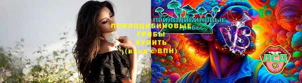 спиды Няндома